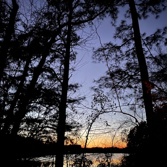 Meet your Posher, Mary - Picture 8 of 11